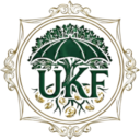 Oryginalne logo UKF Consulting